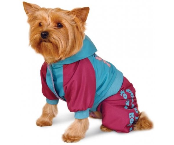 WD1028 Комбинезон демисезонный Stitch для собак