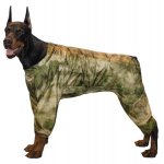 Гамма Комбинезон-дождевик "Доберман"