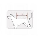 TR94 Костюм-дождевик "Геометрия"  для собак