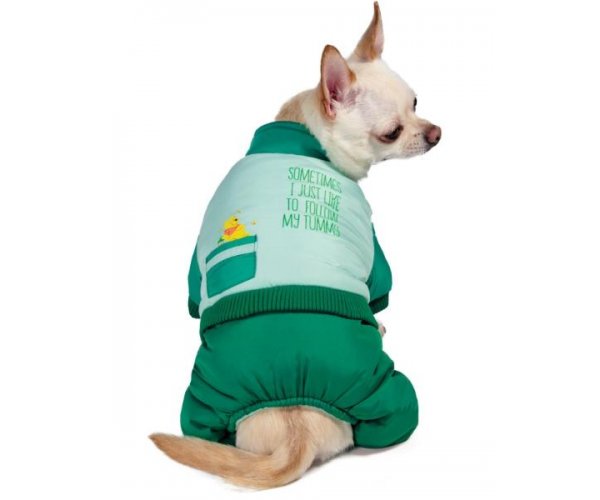 Triol Комбинезон зимний Disney Winnie the Pooh Green для собак