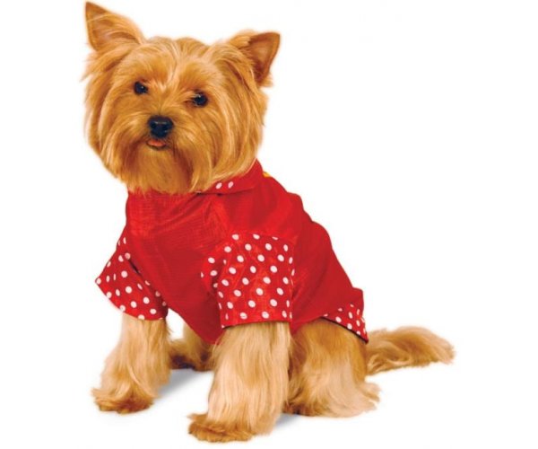 WD1027 Дождевик Minnie для собак