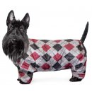 Гамма Комбинезон-дождевик "Скотч-терьер" для собак