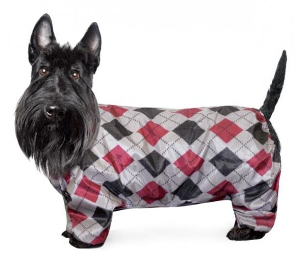 Гамма Комбинезон-дождевик "Скотч-терьер" для собак