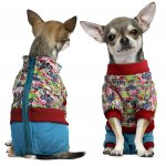 WD1049 Комбинезон зимний Friends