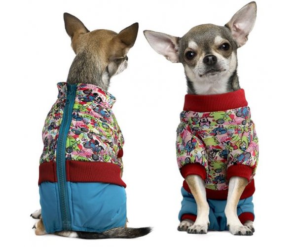 WD1049 Комбинезон зимний Friends для собак