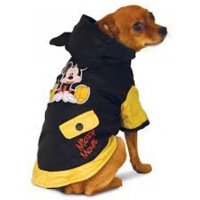 WD1026  Дождевик Mickey