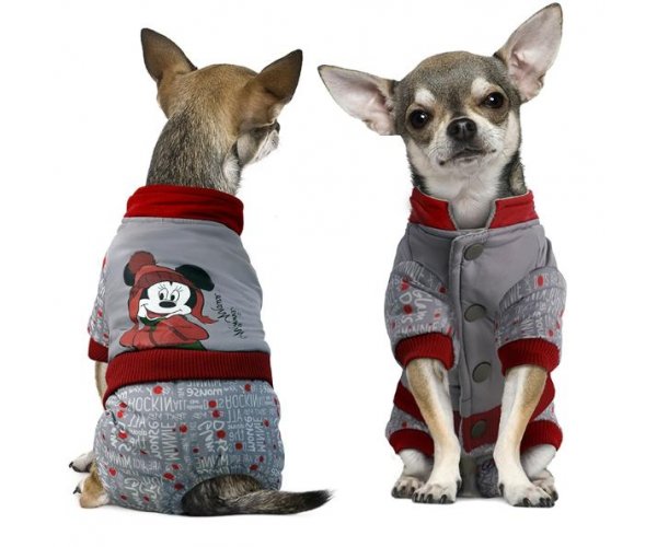 WD1048 Комбинезон зимний Minnie-2 для собак
