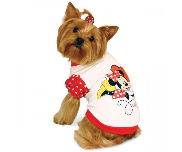 WD1036 Футболка Minnie для собак
