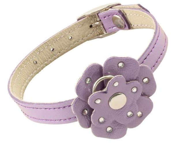 Ошейник-мини "Гамма" двойной "Цветок" для собак