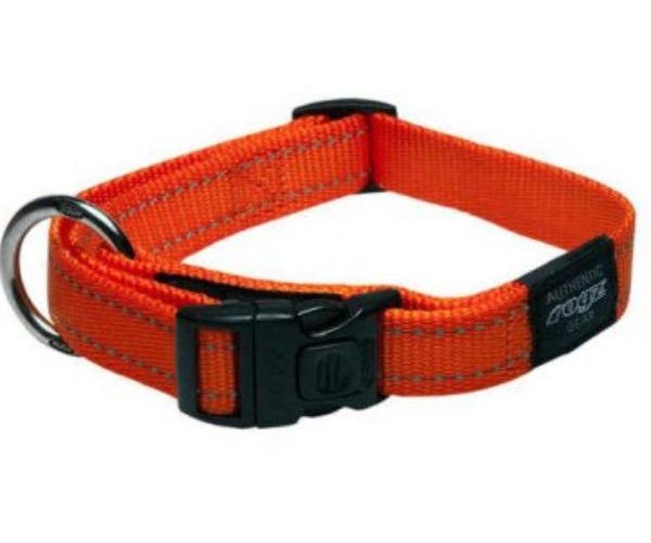 Ошейник Rogz "Utility" (Orange) для собак