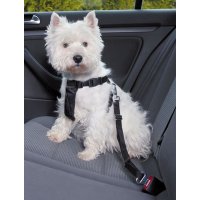 Поводок AmiPlay для перевозки в автомобиле