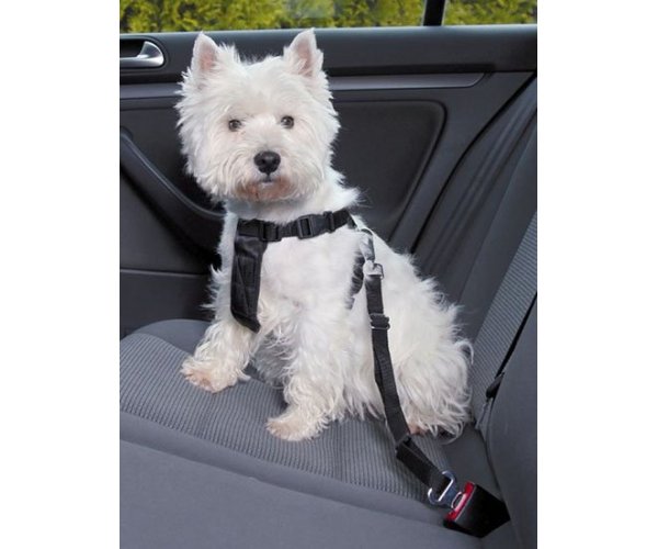 Поводок AmiPlay для перевозки в автомобиле для собак