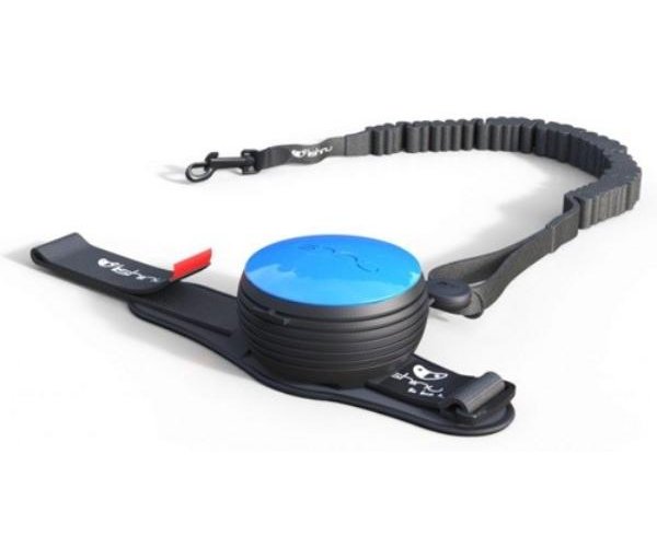 Поводок-рулетка "Lishinu Bungee" (голубой) для собак