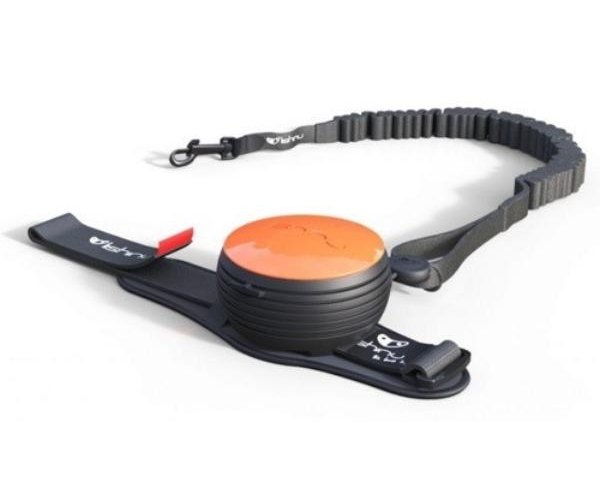 Поводок-рулетка "Lishinu Original 2" (оранжевый) для собак