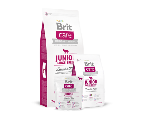 Сухой корм для собак Brit Care Junior Large Breed Lamb & Rice