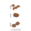 Сухой корм для собак Farmina N&D GF Prime Adult Mini Lamb & Blueberry