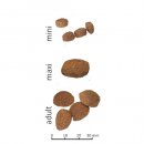 Сухой корм для собак Farmina N&D GF Adult Mini Fish & Orange