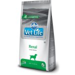 Farmina Vet Life Renal Dog