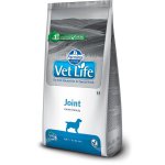 Farmina Vet Life Joint Dog