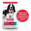 Сухой корм для собак Hill's Science Plan для взрослых средних пород (тунец,рис) сухой корм для собак