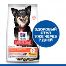 Сухой корм для собак Hill's Science Plan Perfect Digestion для взрослых мелких пород с курицей и коричневым рисом