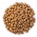 Сухой корм для собак Hill's Science Plan Small & Miniature для мелких и миниатюрных пород старше 7 лет (курица) сухой корм для собак