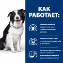 Сухой корм для собак Hill's Prescription Diet t/d для поддержания здоровья полости рта с курицей