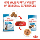 Консервы для собак Royal Canin Puppy Maxi (в соусе)