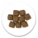 Nature's Protection Adult Active