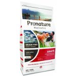 Pronature Holistic GF Asian Dog Maxi