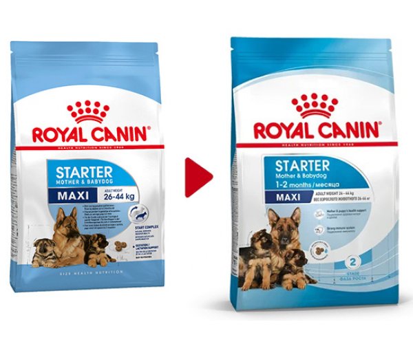 Royal Canin Maxi Starter
