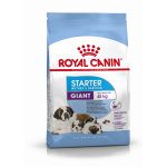 Royal Canin Giant Starter