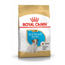 Royal Canin Jack Russell Terrier Puppy