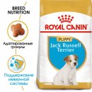 Royal Canin Jack Russell Terrier Puppy