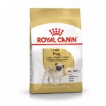 Royal Canin Pug Adult