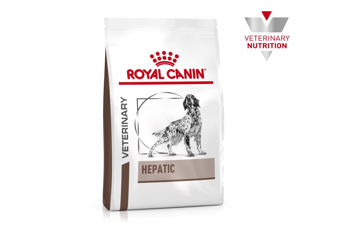 Royal canin гипоаллергенный для собак. Корм Royal Canin Hypoallergenic для собак. Роял Канин Гипоаллердженик для собак 14кг. Корм Роял Канин Anallergenic для собак. Royal Canin Gastro intesinal для собак.