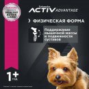 Сухой корм Eukanuba Adult Small Breed (Птица) для собак