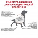 Royal Canin Gastro Intestinal dog