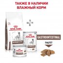 Royal Canin Gastro Intestinal dog