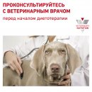 Royal Canin Gastro Intestinal dog