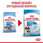 Royal Canin Giant Starter