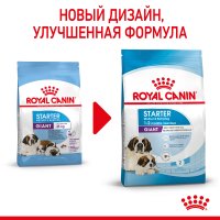 Royal Canin Giant Starter
