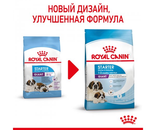 Royal Canin Giant Starter