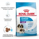 Royal Canin Giant Starter