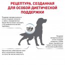 Royal Canin Hypoallergenic Dog