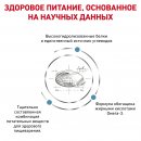 Royal Canin Hypoallergenic Dog