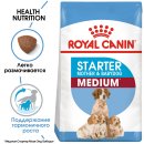 Royal Canin Medium Starter
