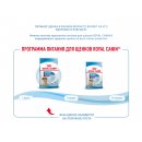 Royal Canin Medium Starter