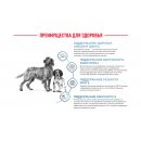 Royal Canin Medium Starter