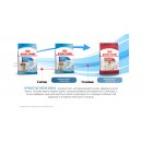 Royal Canin Medium Starter